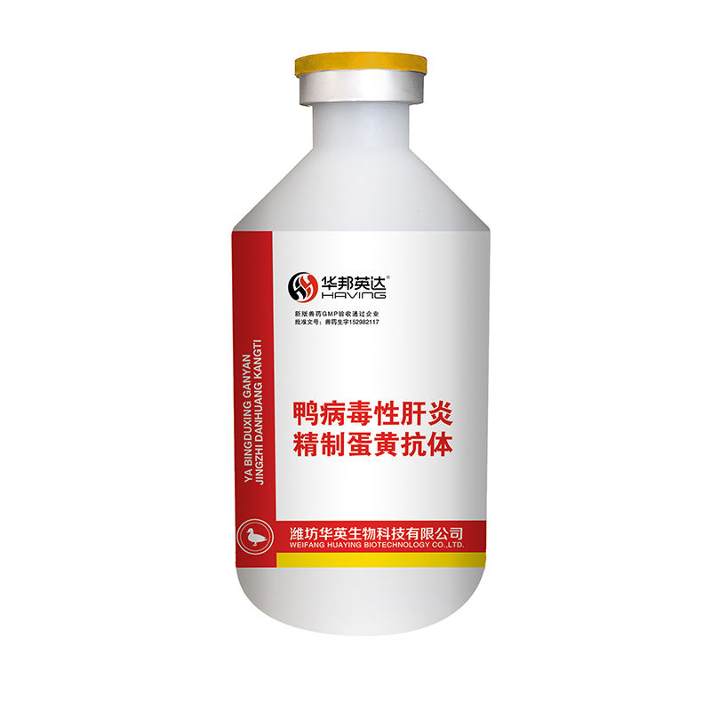 m.gxjingrui.com/12972.html