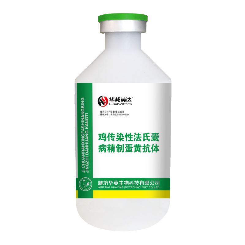 卡迪歐?